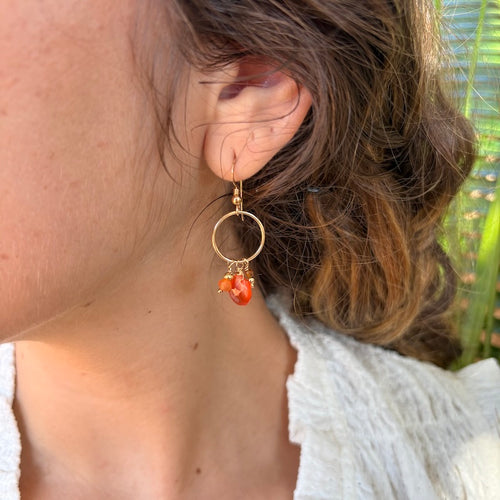 Carnelian & 14k Gold Filled Earrings