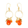 Carnelian & 14k Gold Filled Earrings