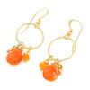 Carnelian & 14k Gold Filled Earrings