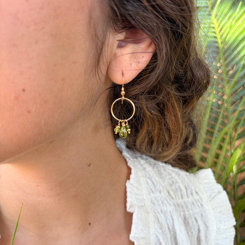 Peridot, Tourmaline & 14k Gold Filled Earrings