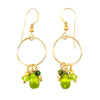 Peridot, Tourmaline & 14k Gold Filled Earrings